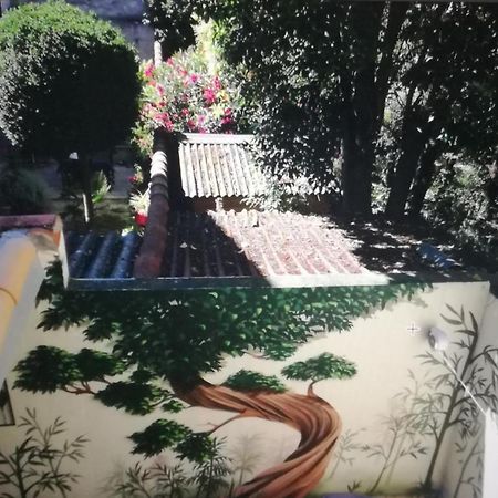 Suite Volupté classée 3 étoiles avec vue sur Jardins, Garage et Climatisation Montpellier Exterior foto